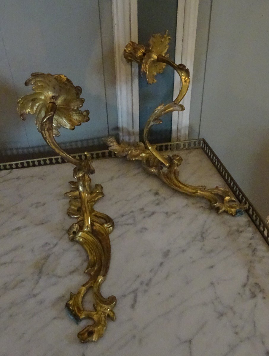 Pair Of Small Louis XV Gilt Bronze Wall Lights