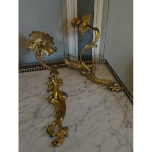 Pair Of Small Louis XV Gilt Bronze Wall Lights