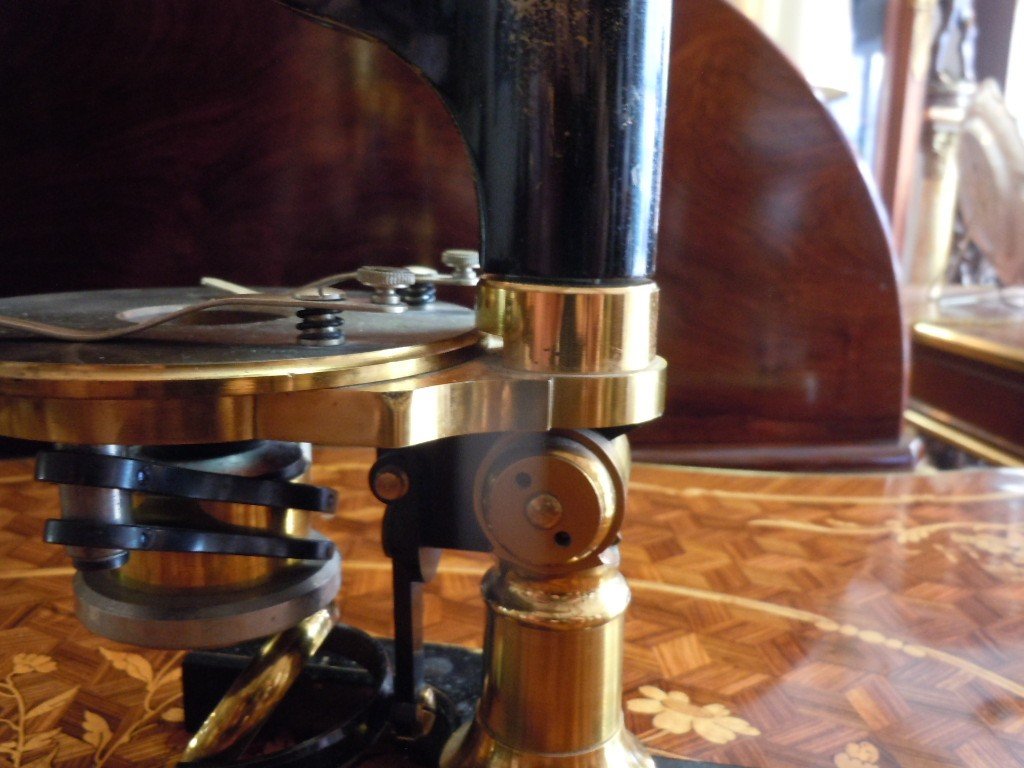 Maurice Stiassnie Microscope-photo-8