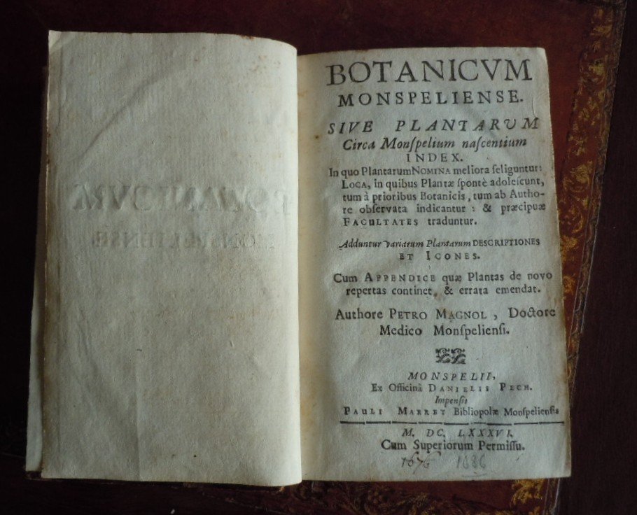 Botanicium Monspeliense, Pierre Magnol 1686-photo-2