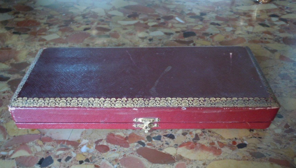 Writing Case Decor Fleur De Lys-photo-2