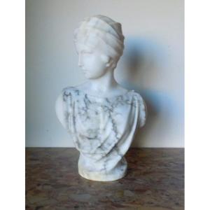 Marble And Alabaster Bust By Pugi