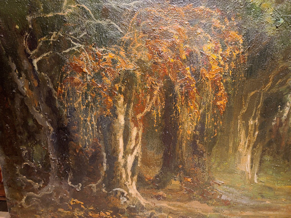 Importante Huile Sur Toile Signée Lucien A. Perona, Sous Bois Début XXe (164cm X 75cm).-photo-3