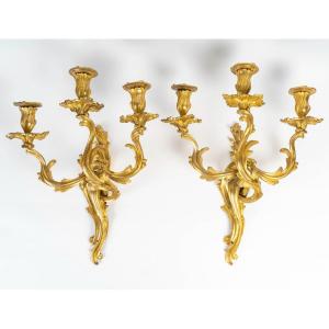 Paire d'Appliques Louis XV. XIXème Siècle.