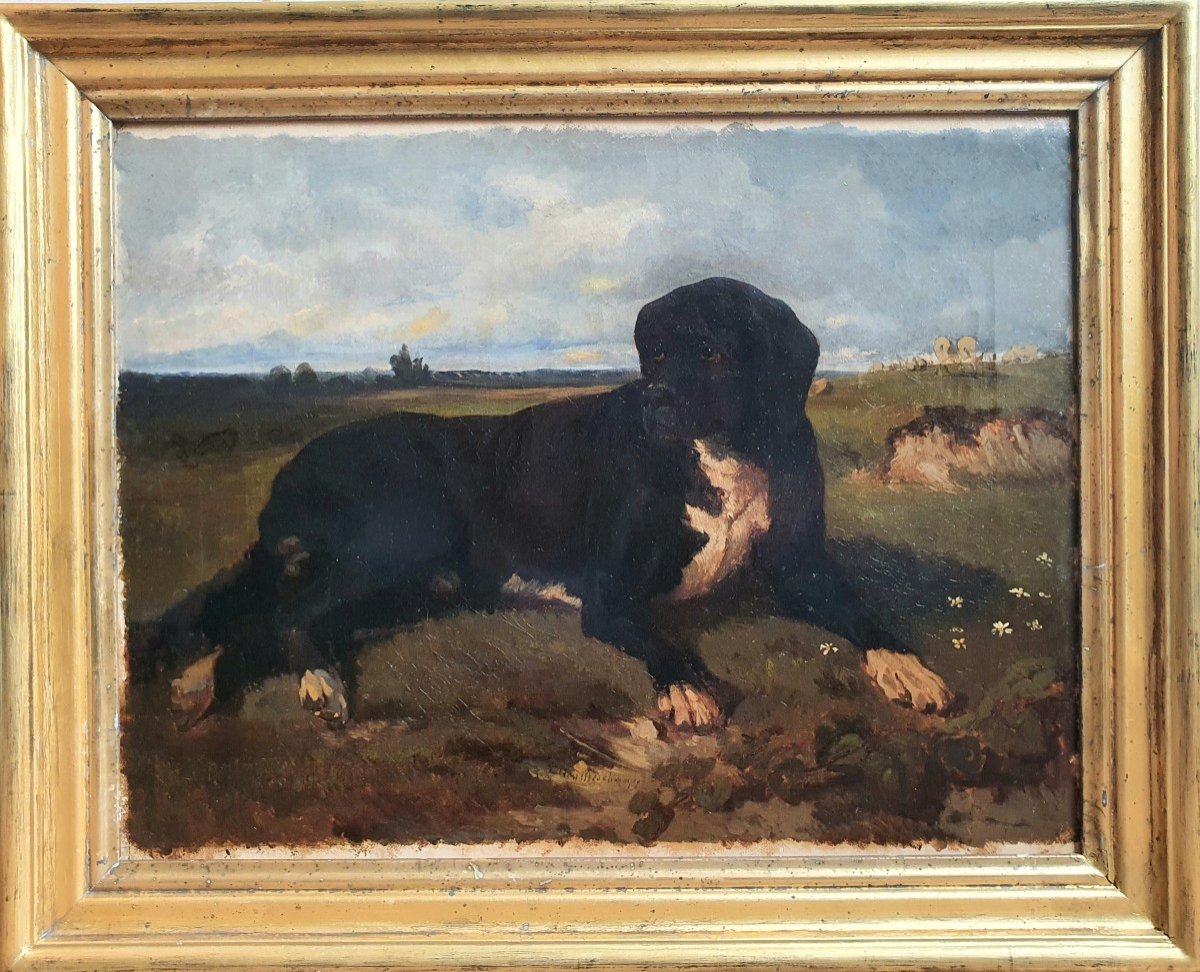 Julien Deschamps Portrait Of A Shepherd Dog Oil On Canvas -photo-2