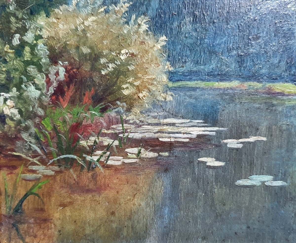 Alfred Gardon The Water Lily Pond Oil On Panel 1904-photo-3