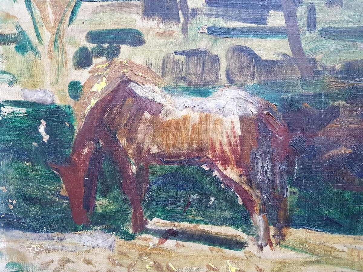 Adriaan Herman Gouwe Horse In Tahiti Oil On Canvas Circa 1930 To Restore-photo-3