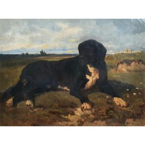 Julien Deschamps Portrait Of A Shepherd Dog Oil On Canvas 
