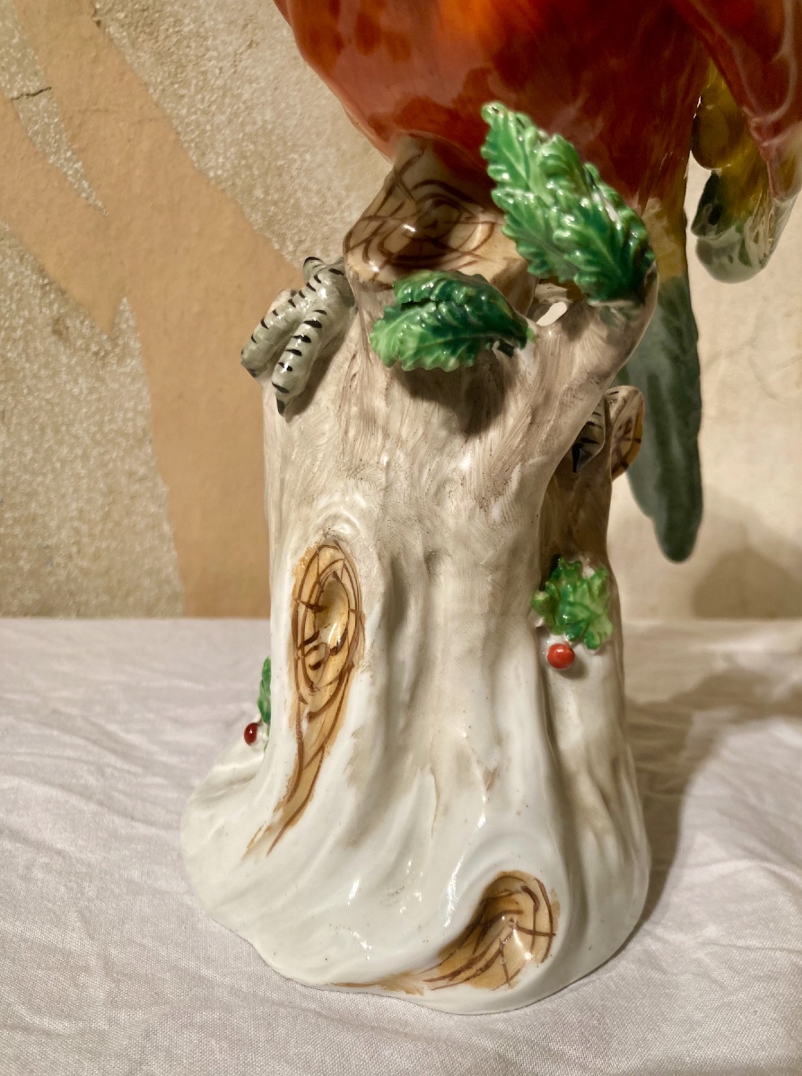  Perroquet en porcelaine de Dresden-photo-2