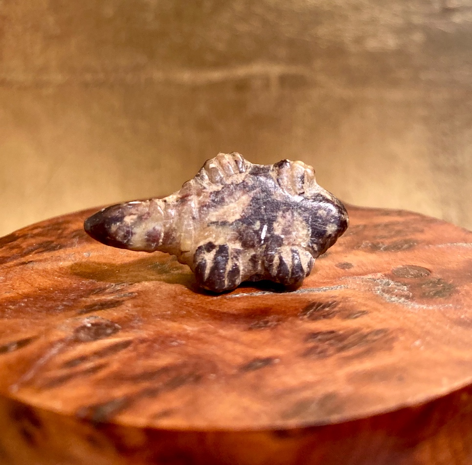 Pendant Amulet Depicting A Turtle-photo-4