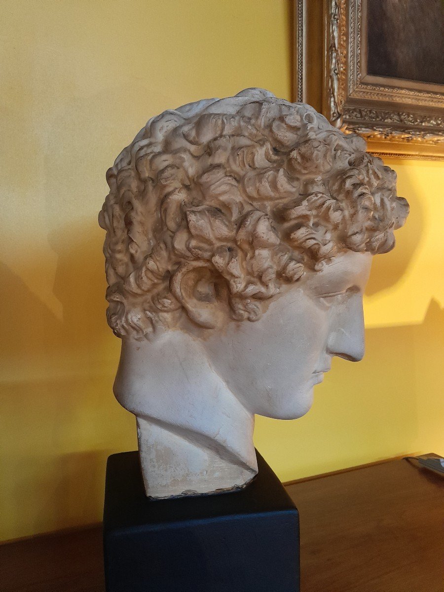 Greco.roman Head-photo-3