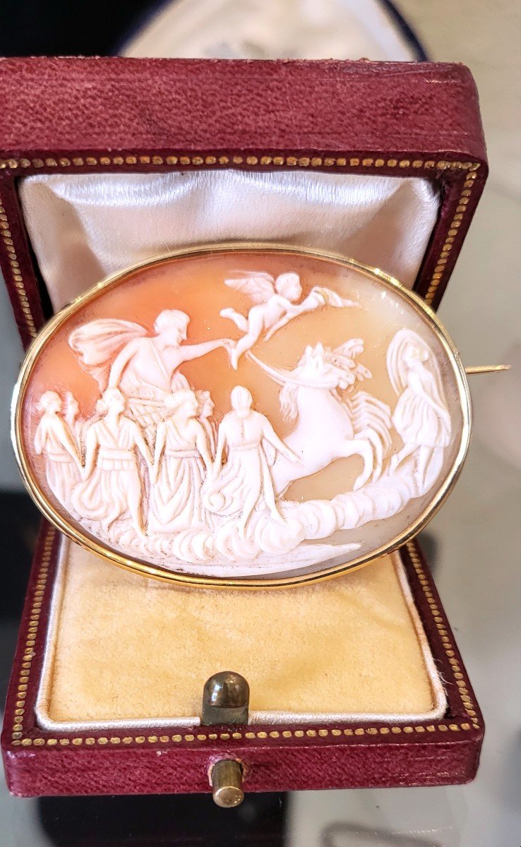 Napoléan 111 Cameo Brooch In 18ct Gold -photo-3