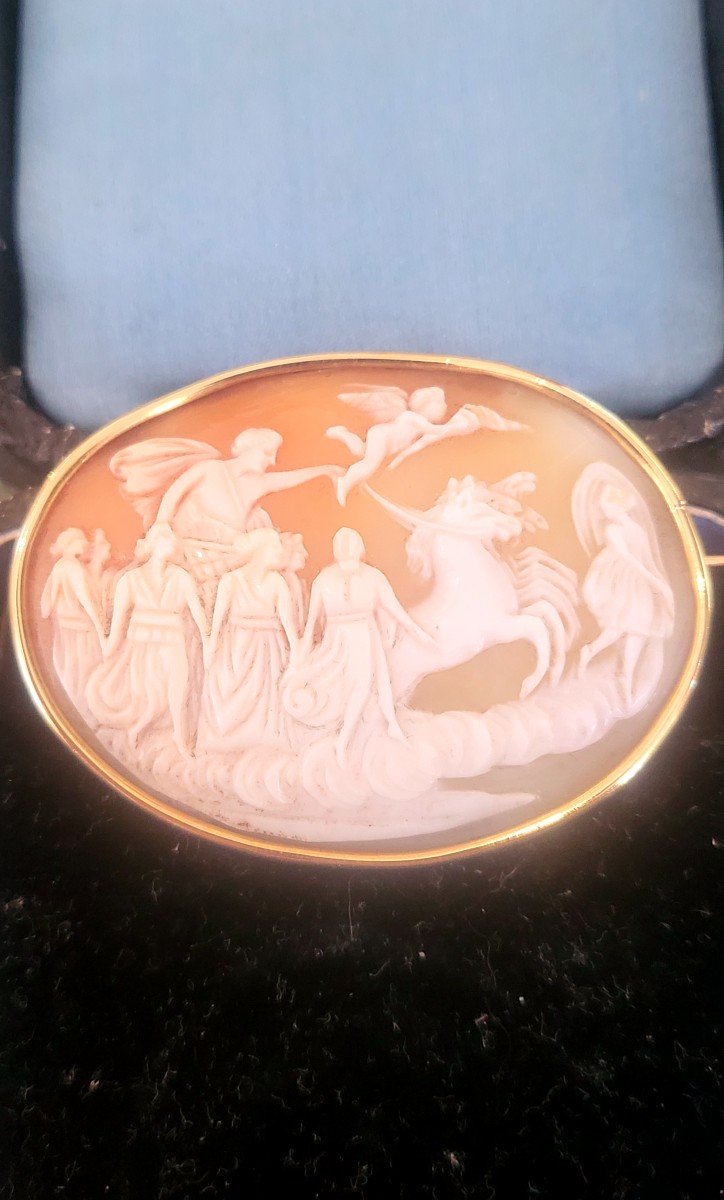 Napoléan 111 Cameo Brooch In 18ct Gold -photo-3