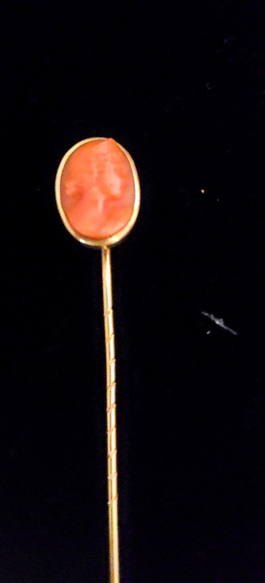 Antique Tie Pin / Brooch, Intaglio In Coral Set In 18ct Gold -photo-4