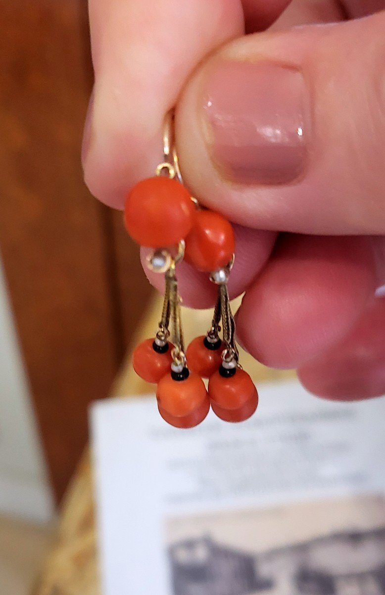 Napoleon 111 Coral And 18ct Gold Earrings -photo-2