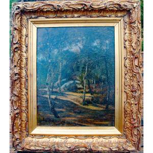 Tableaux Fin XIX Huile Sur Carton Fort  Paysage De Sous Bois De Fontainebleau 