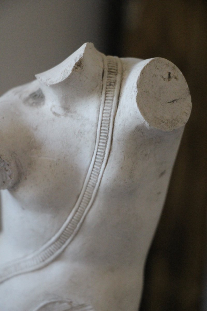 Plaster Angel Torso, 19th Century-photo-2