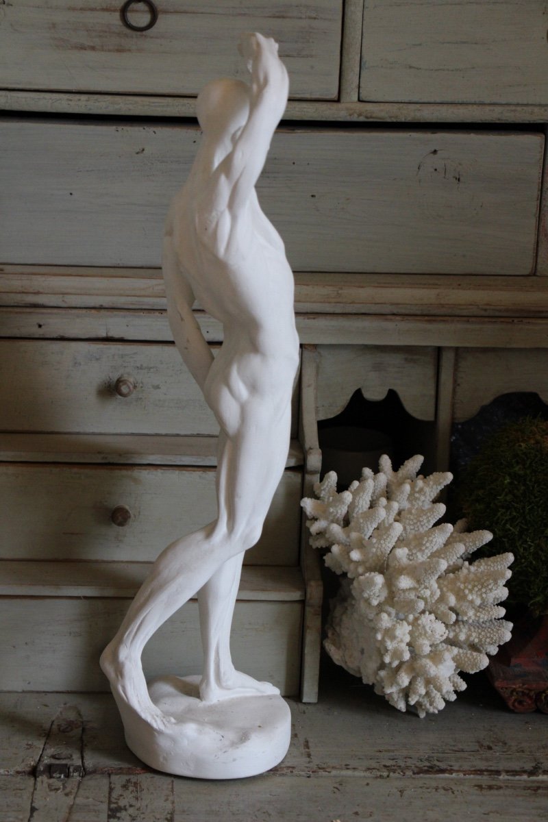 Flayed Men  In Plaster -photo-4