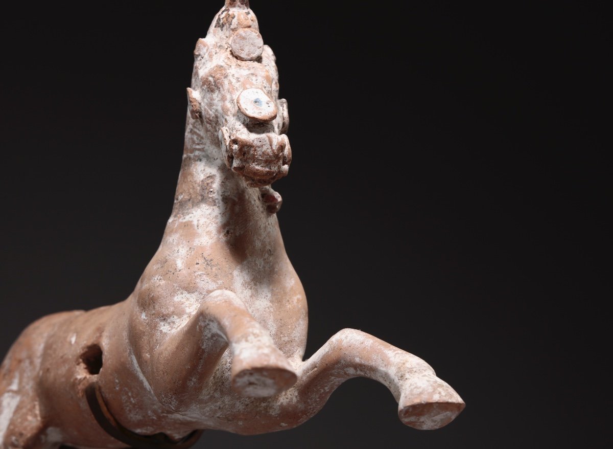 Greek Art, Terracotta Horse-photo-4