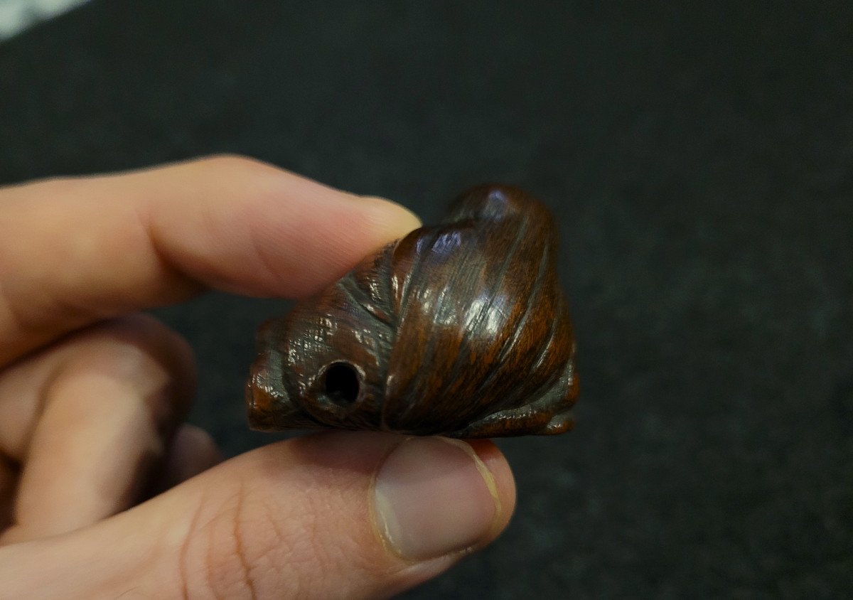 Netsuke - Shōjō Endormi - Bois-photo-2