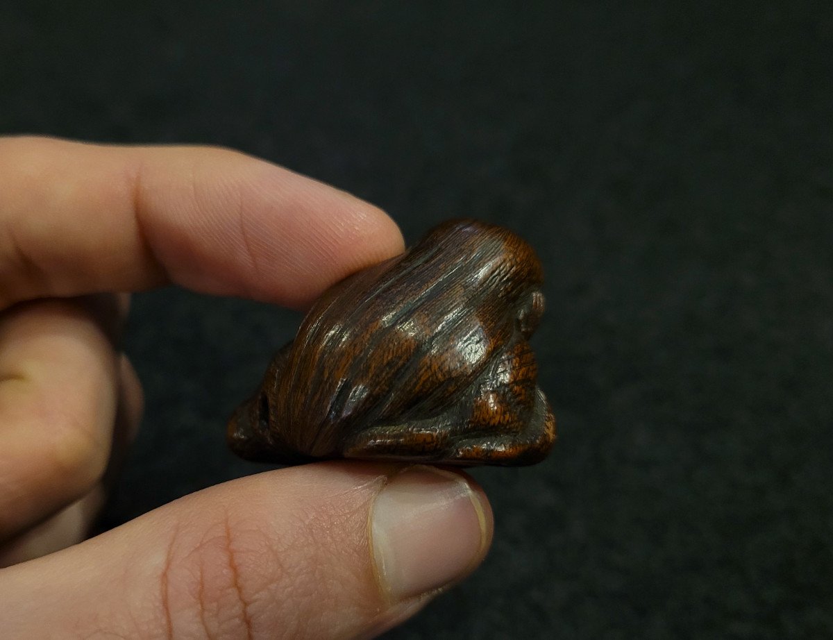 Netsuke - Sleeping Shōjō - Wood-photo-3