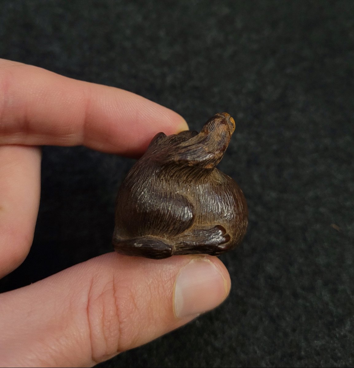 Netsuke - Tanuki Au Ventre Gonflé - Bois -photo-4