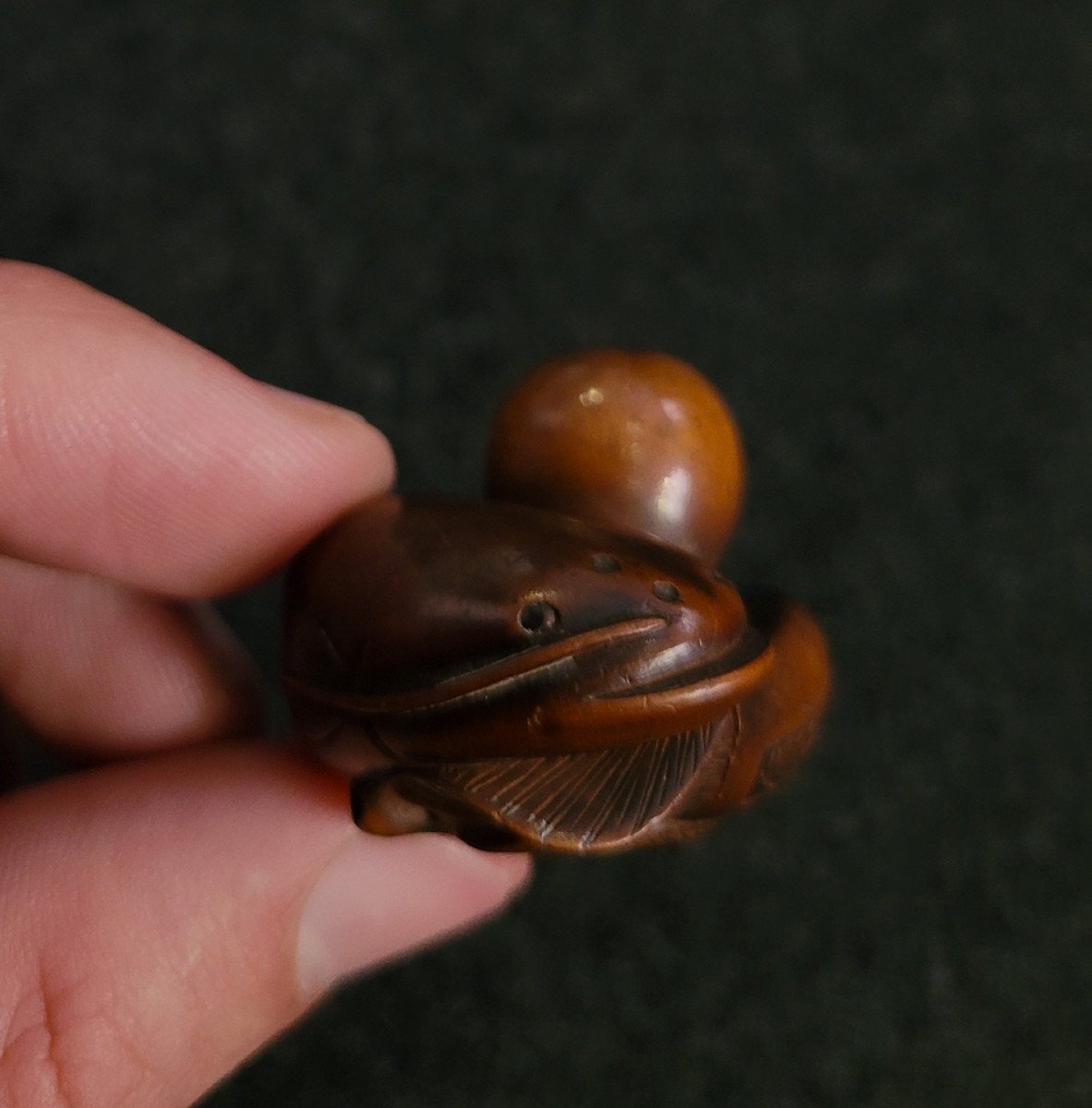 Netsuke - Poisson Chat à La Gourde - Bois-photo-4