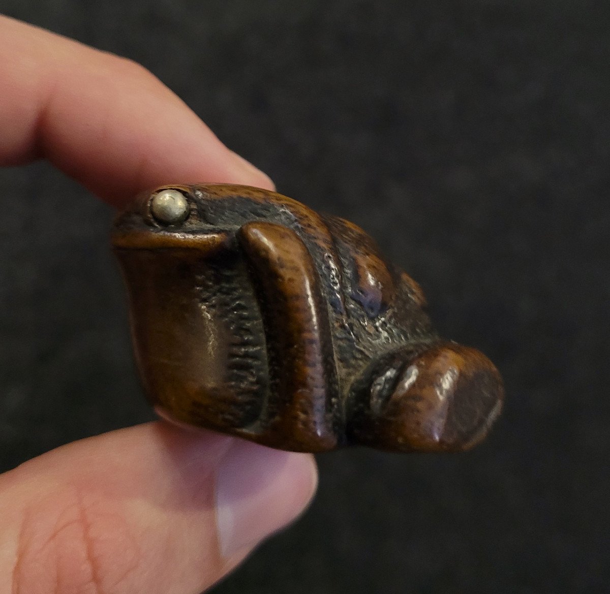 Netsuke -  Toad With Silver Metal Eyes - Wood -photo-4