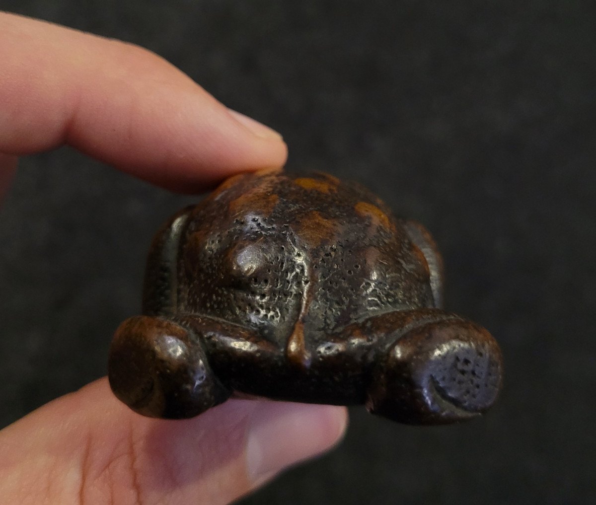 Netsuke -  Toad With Silver Metal Eyes - Wood -photo-1