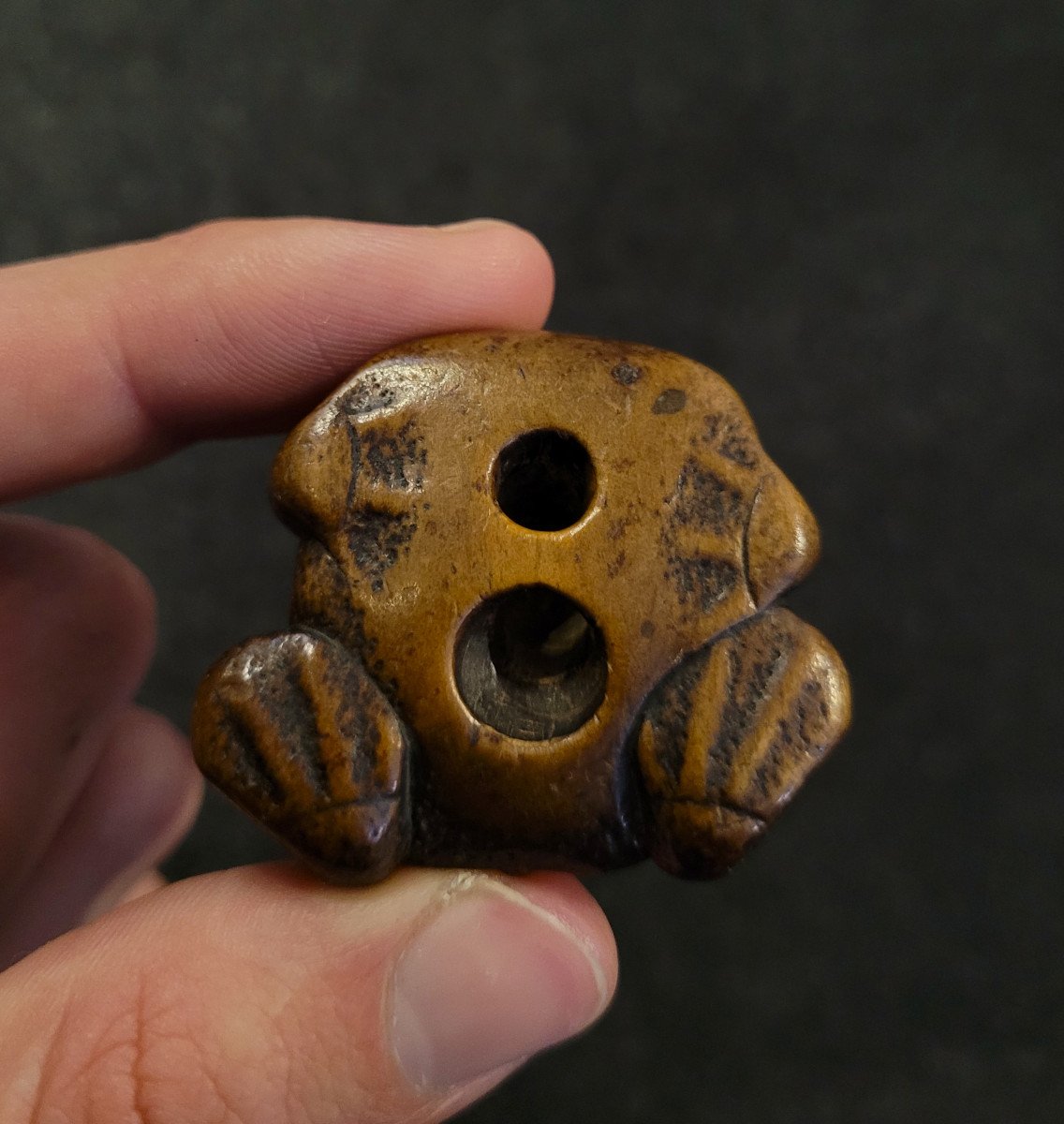 Netsuke -  Toad With Silver Metal Eyes - Wood -photo-3