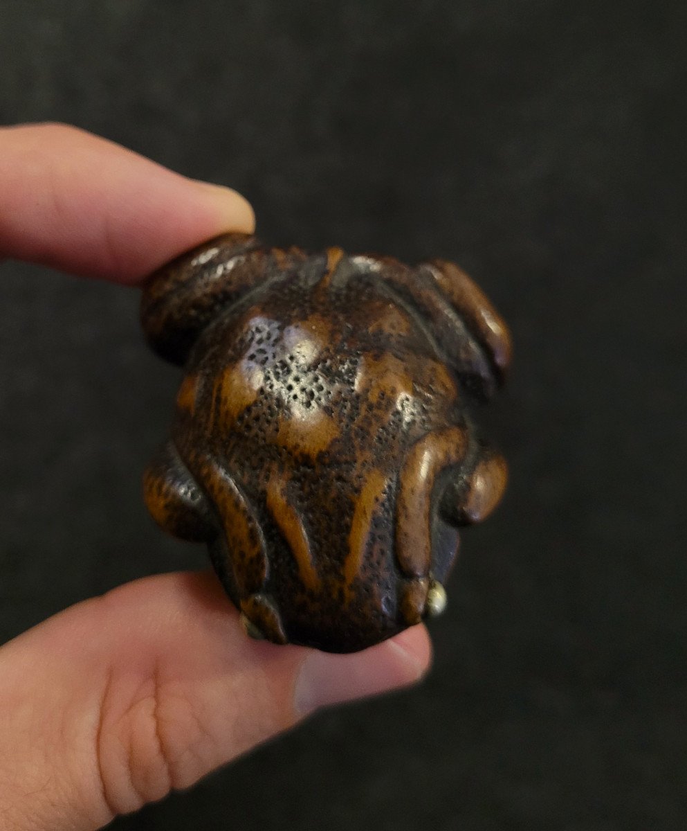 Netsuke -  Toad With Silver Metal Eyes - Wood -photo-4