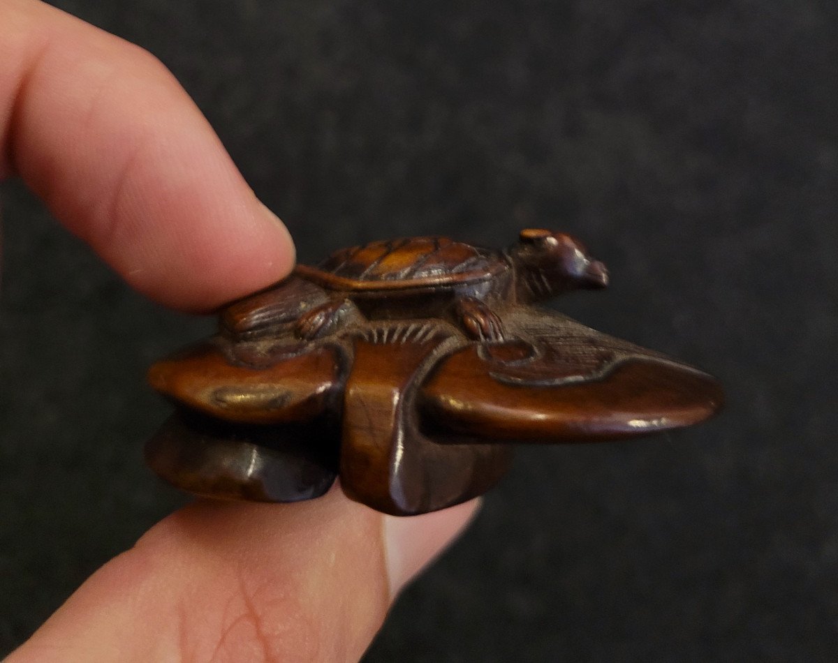 Netsuke - Minogamous Turtle On A Stylized Water Lily - Wood-photo-3