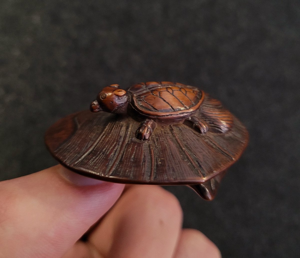 Netsuke - Minogamous Turtle On A Stylized Water Lily - Wood-photo-4