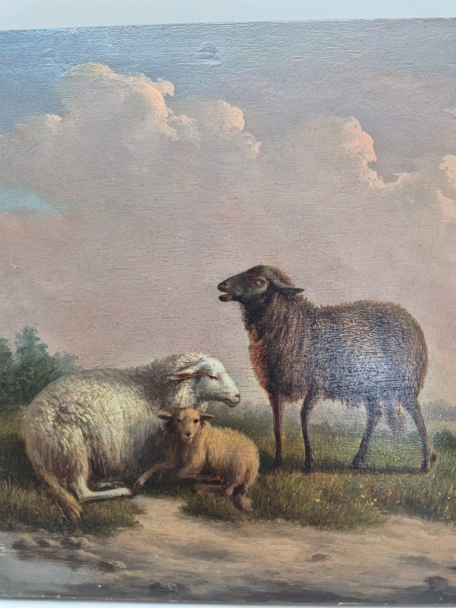 Oil Painting On Panel, Sheep L.c-photo-2