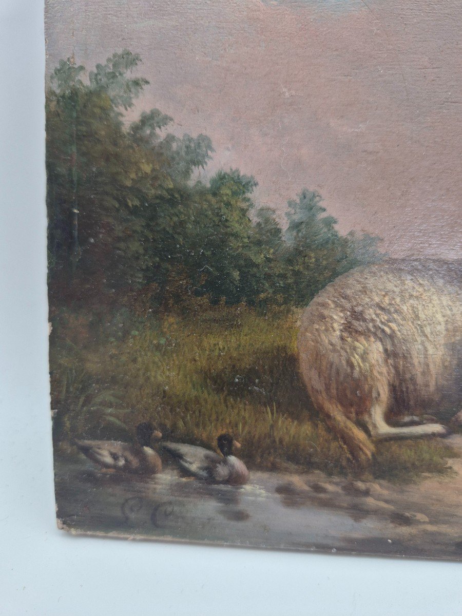 Oil Painting On Panel, Sheep L.c-photo-3