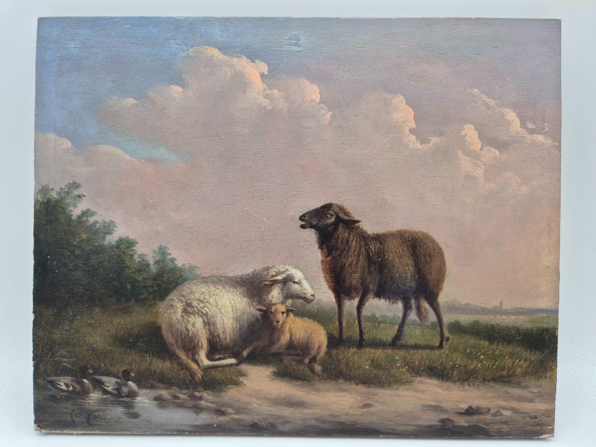 Oil Painting On Panel, Sheep L.c-photo-4