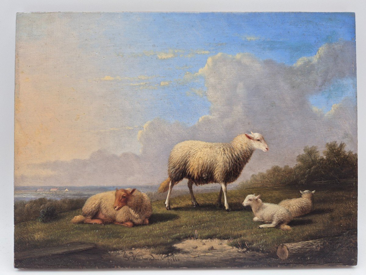 Painting Sheep Signed: Franz Van Severdonck 19th-photo-3