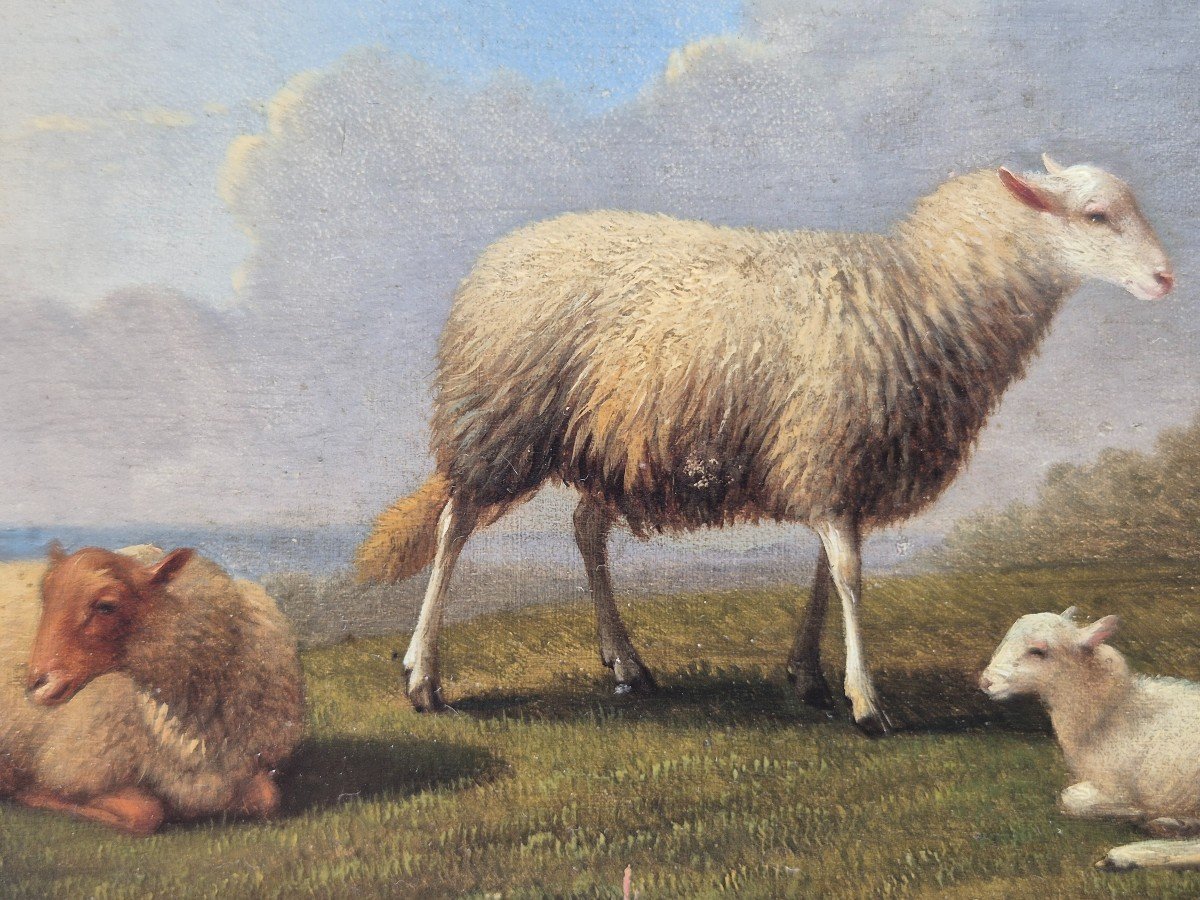 Painting Sheep Signed: Franz Van Severdonck 19th-photo-3