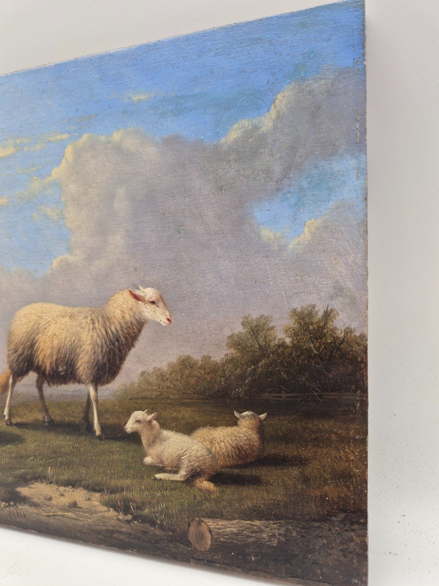 Painting Sheep Signed: Franz Van Severdonck 19th-photo-5