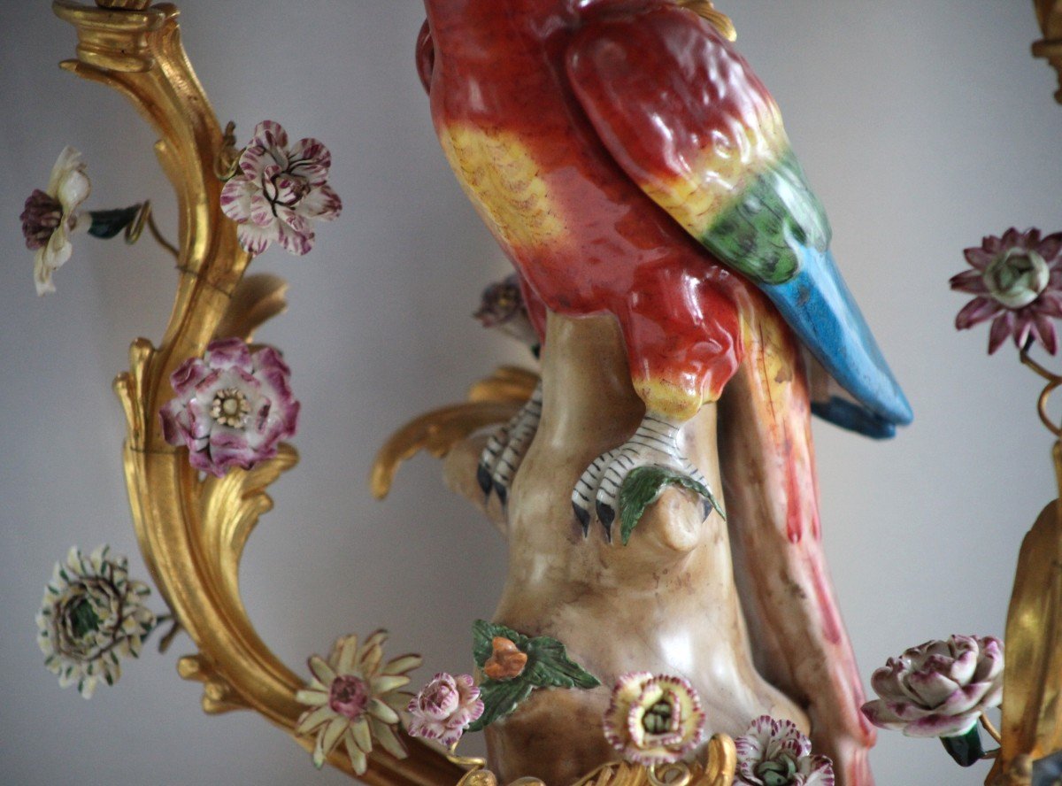 Pair Of Candelabra - Parrots In Saxony Porcelain-photo-4