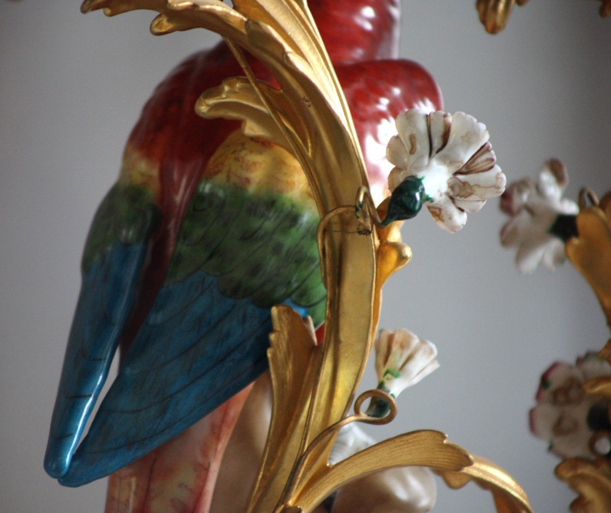 Pair Of Candelabra - Parrots In Saxony Porcelain-photo-5