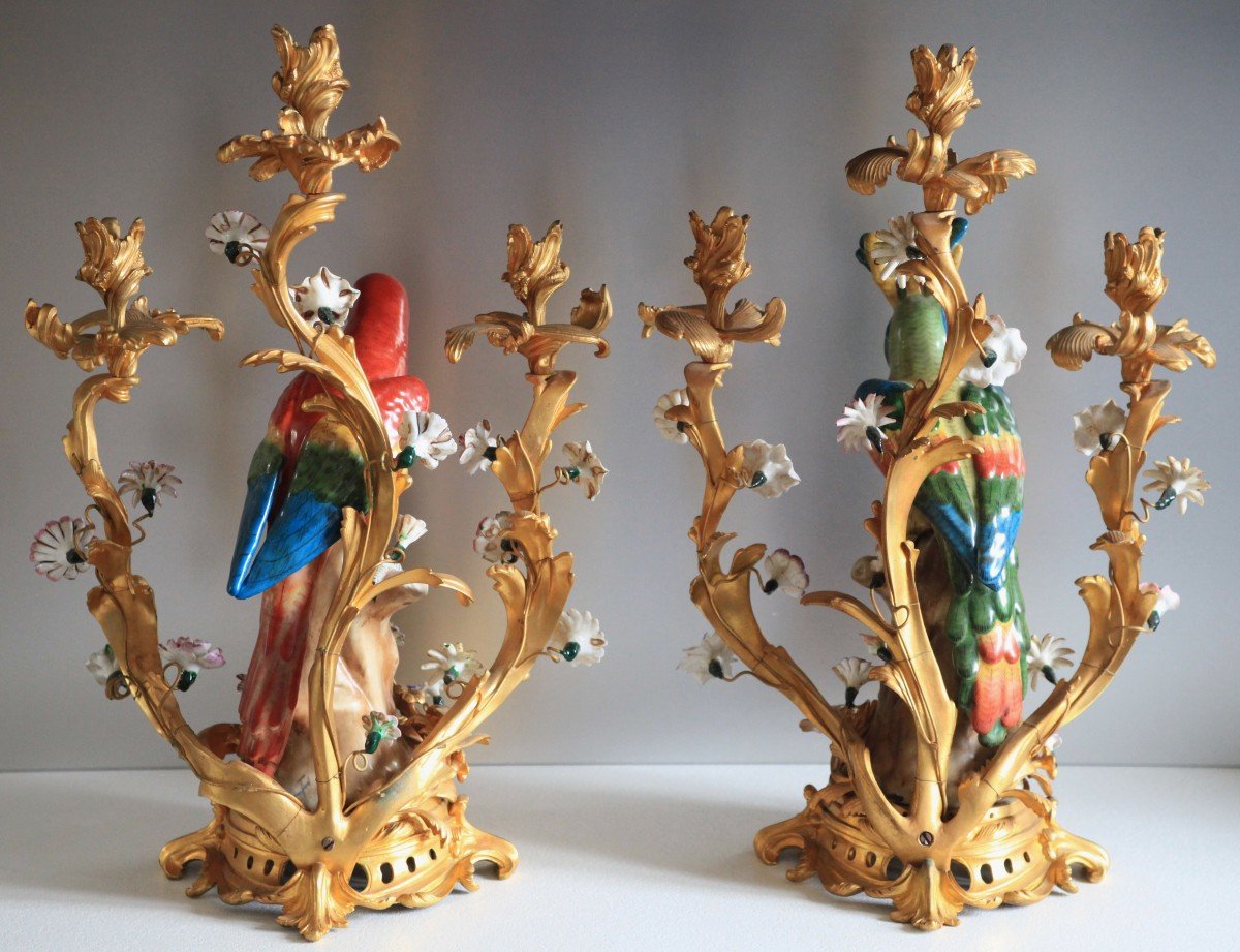 Pair Of Candelabra - Parrots In Saxony Porcelain-photo-8