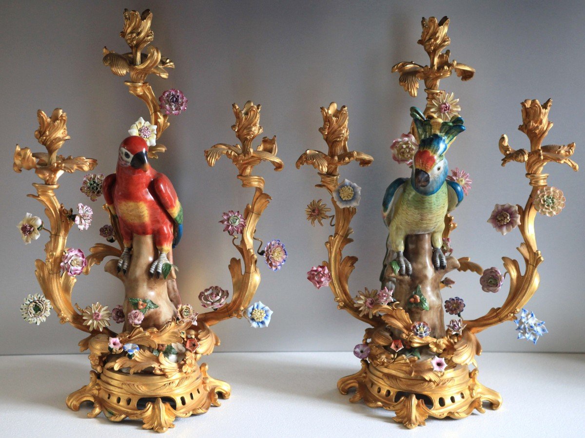 Pair Of Candelabra - Parrots In Saxony Porcelain