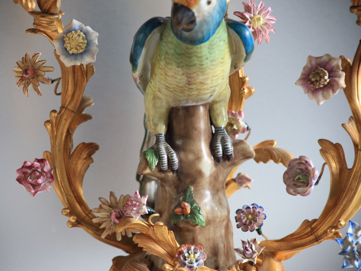 Pair Of Candelabra - Parrots In Porcelain Of Saxe-photo-3