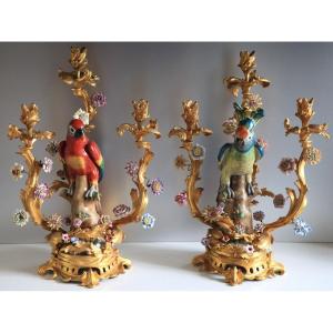 PAIRE DE CANDELABRES - PERROQUETS EN PORCELAINE DE SAXE