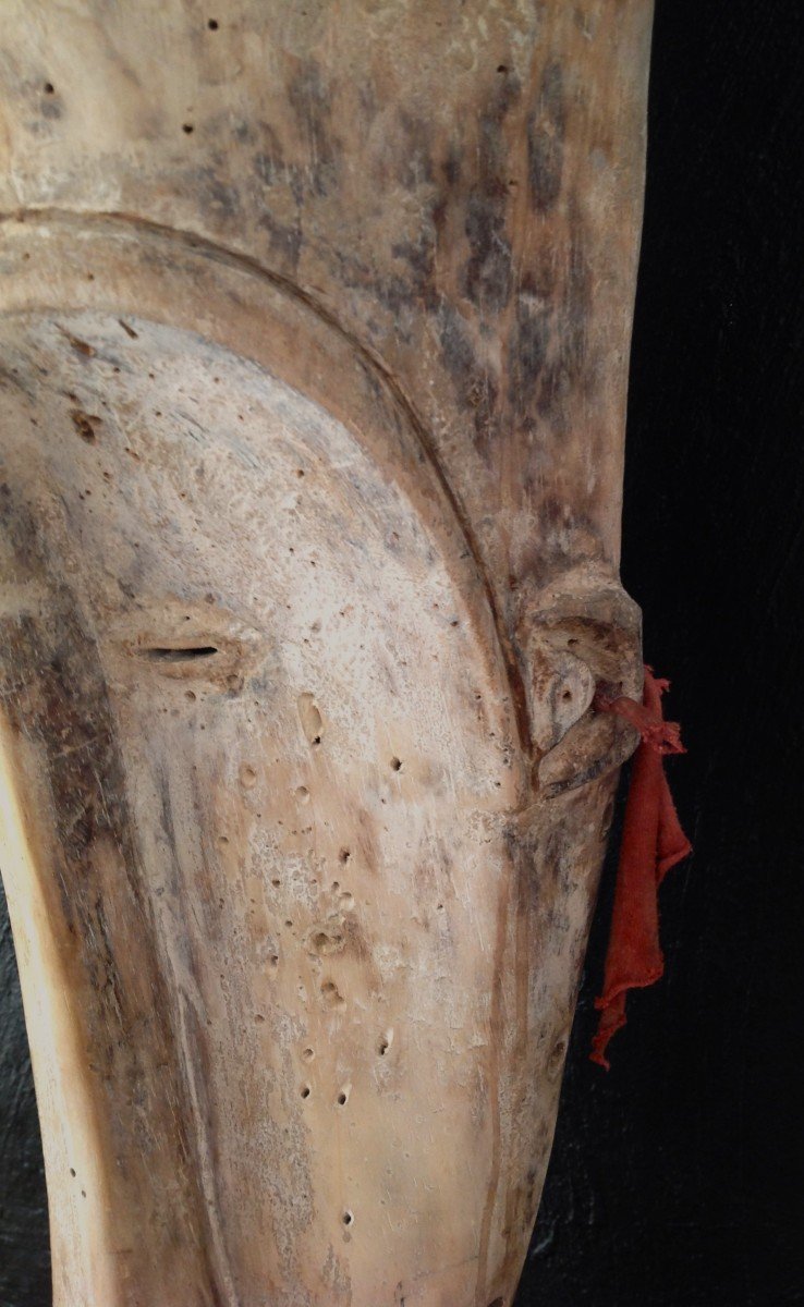 Ngil Fang Mask, Gabon. -photo-6