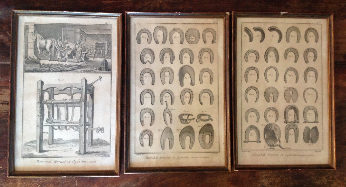 Lot Of Three 18th Century Engravings.