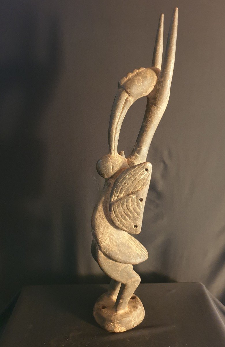 Senoufo (ivory Coast) - Hornbill - 62 Cm