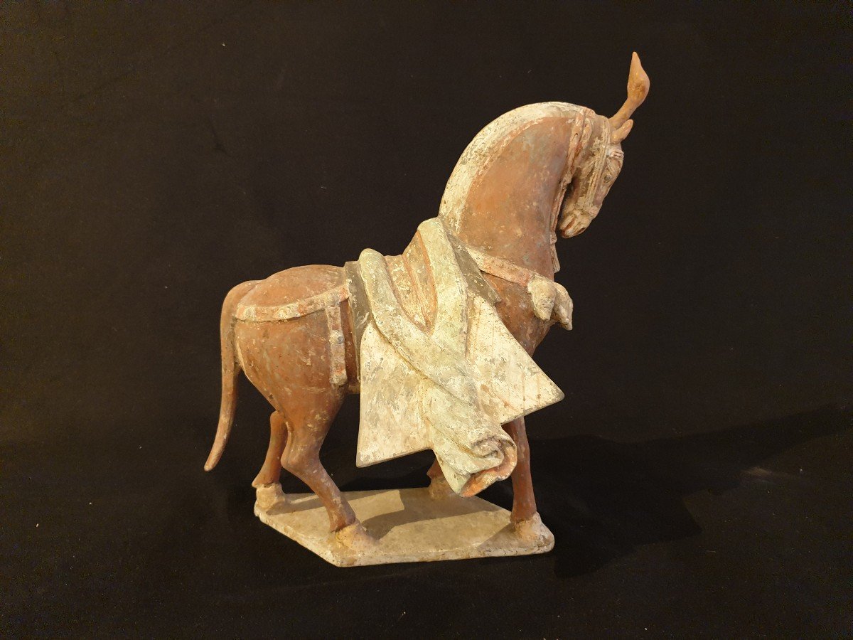 China - Horse Wei Period (356 - 557) - 32 Cm - Certificate-photo-3