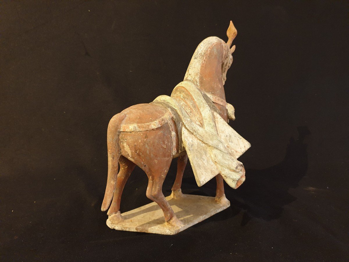 China - Horse Wei Period (356 - 557) - 32 Cm - Certificate-photo-4